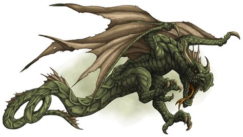 Wyvern | Dragon Wiki | Fandom