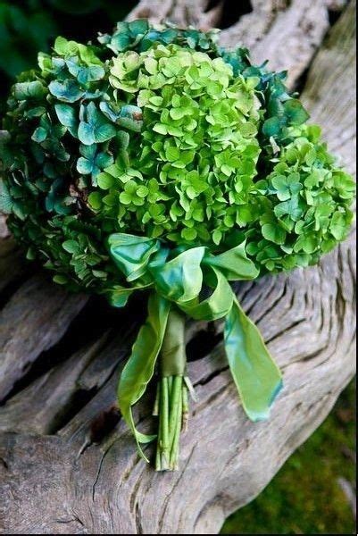 Green Hydrangeas Pictures, Photos, and Images for Facebook, Tumblr ...