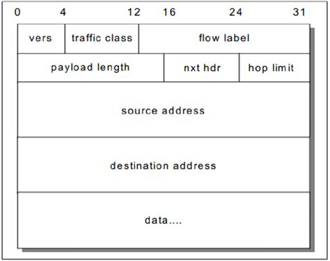 IPv6 header format In Figure 1-1 the ipv6 packet format fields as ...