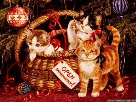 Christmas Kittens in basket. - Cats Wallpaper (36711831) - Fanpop