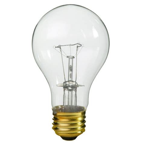 100 Watt Light Bulb - Clear - 20,000 Hours