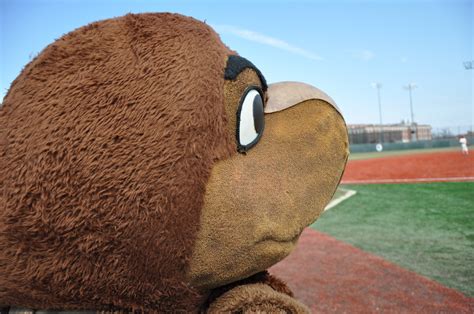 MSealPhoto: Maryland Terps mascot Testudo - College Park, MD