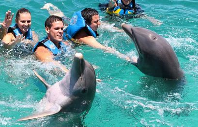 Mexico Cancun Dolphin Swim Adventure (800) 667-5524