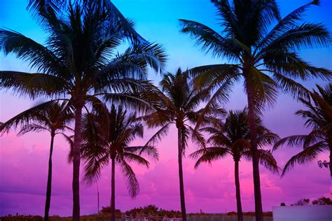 Miami Beach South Beach sunset palm trees Florida | SFRPC