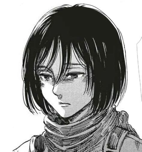 Mikasa Manga Pfp