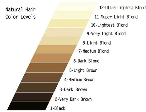 niveles | Natural hair color, Hair color chart, Wella color charm