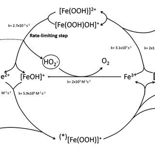 (PDF) Fenton reaction driven by iron ligands