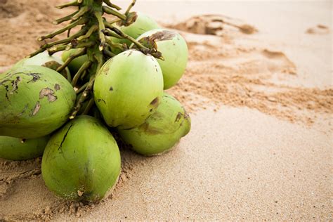 Manfaat Kelapa Hijau Bagi Tubuh yang Perlu Diketahui - Uprint.id