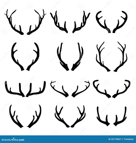 Vector Deer Antlers On White Background Stock Vector - Image: 55719827