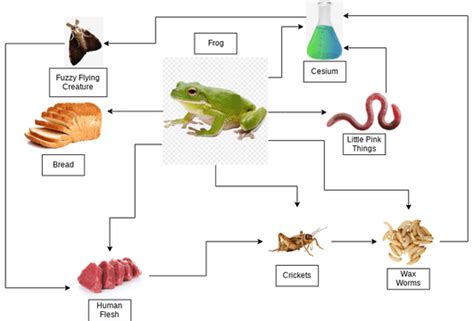 frog food chain hi | Visual Paradigm User-Contributed Diagrams / Designs