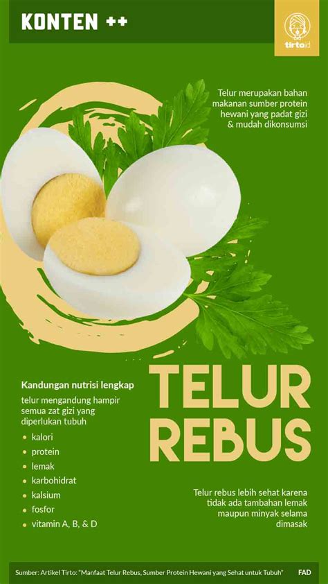 Manfaat Telur Rebus, Sumber Protein Hewani yang Sehat untuk Tubuh