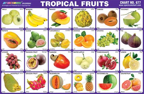 Spectrum Educational Charts: Chart 677 - Tropical Fruits