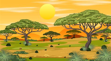 African Savanna forest landscape scene at sunset 2306325 Vector Art at ...