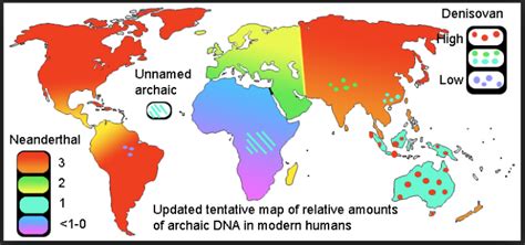 Neanderthal, Ancient Maps, Dna, Evolution, Human, History, Genealogy ...