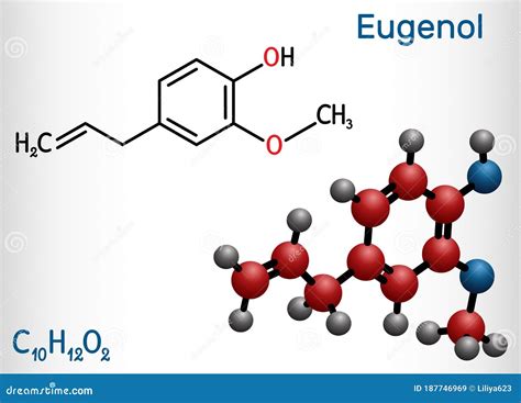 Eugenol, Clove Odor, Chemical Structure And Formula Cartoon Vector ...