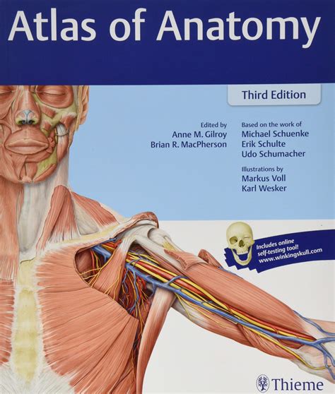 Atlas of Anatomy, 3rd Edition (Thieme Atlas of Anatomy) - SoftArchive