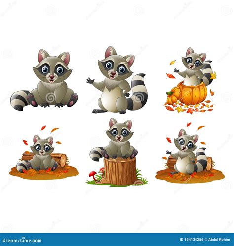 Happy Raccoon Cartoon Isolated On White Background Vector Illustration ...