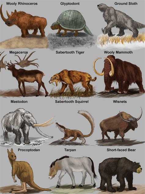 Extinct Animals Mammals List