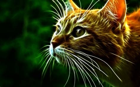 🔥 [50+] 3D Cat Wallpapers | WallpaperSafari