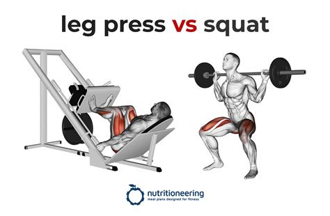 Leg Press vs Squat Mechanics, Muscle Activation, Calories Burned & More