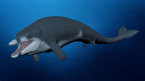 Ancient 8-foot whale was exceptionally small | Popular Science