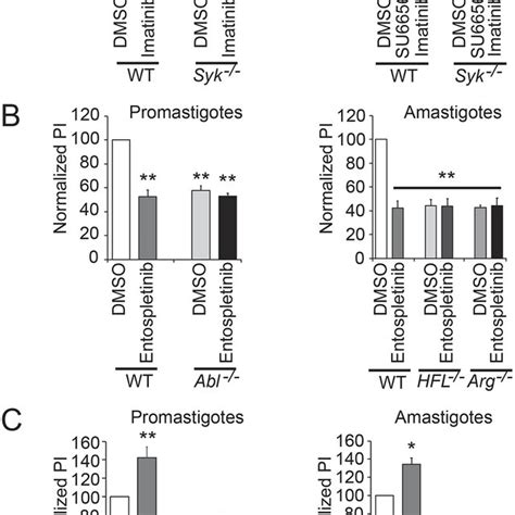 A SFK-Abl/Arg-SYK signaling pathway facilitates Leishmania uptake. (A ...