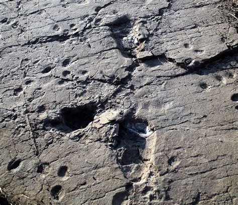 The Maasai legend behind ancient hominin footprints in Tanzania