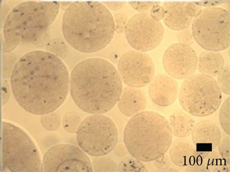 Optical micrographs of alginate microcapsules produced with different ...