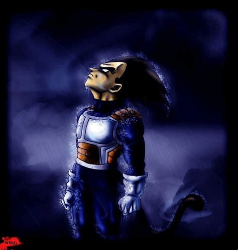 Vegeta in the Rain - Dragon Ball Z , Dragon Ball Vegeta Rain HD phone ...