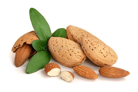 Group of Almond Nuts with Leaves Isolated on White Background Stock ...