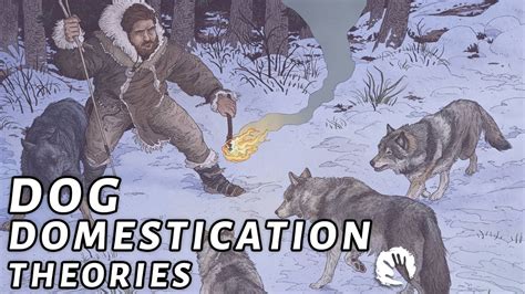 4 Dog Domestication Theories - Game videos