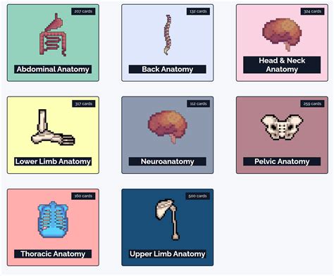 Anatomy Flashcard Collection | 2000+ Cards | Geeky Medics