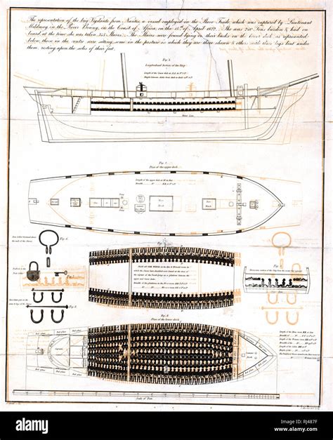 Slave ship diagram 1800s hi-res stock photography and images - Alamy