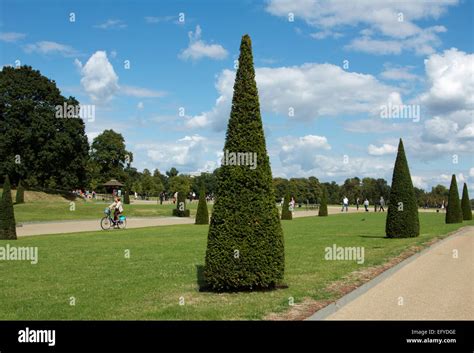 Cone Shaped Trees High Resolution Stock Photography and Images - Alamy