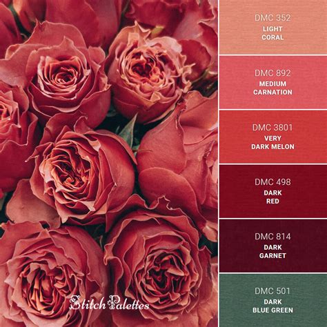 Rose Colour Chart