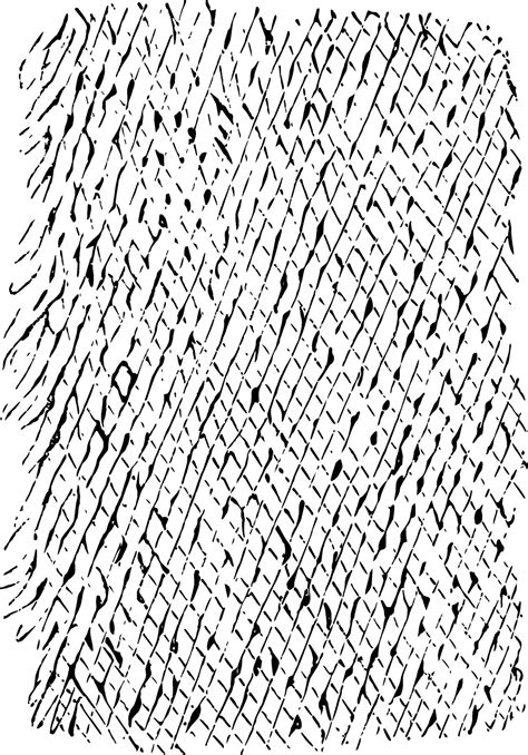 Reticular Structure of a Lamellae, vintage illustration. 35457916 ...