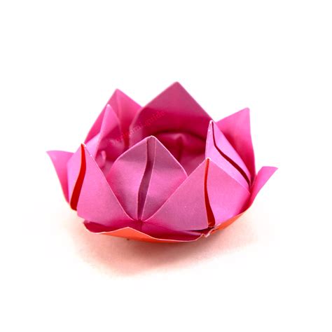 How To Make An Origami Lotus Flower - Folding Instructions - Origami Guide