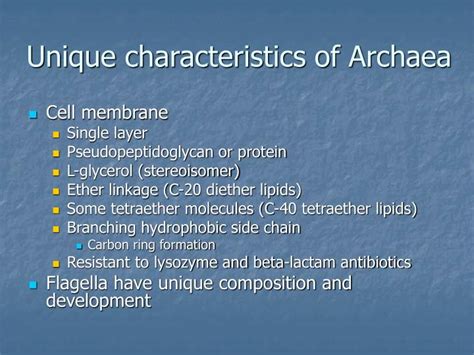 PPT - Archaea PowerPoint Presentation - ID:5687404