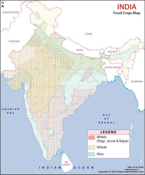 👍 Major food crops in india. Short essay on Food Crops in India. 2019-01-23