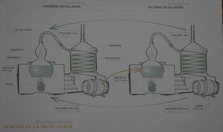 Cognac Martell (Société Martell and Co SA) - Production