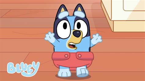 Baby Race | Bluey Season 2 | Bluey - YouTube