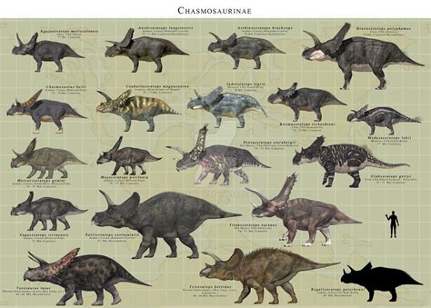 Chasmosaurinae | Prehistoric animals dinosaurs, Prehistoric animals ...