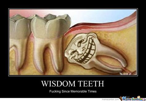 The Best Funny Wisdom Teeth Quotes - Home, Family, Style and Art Ideas