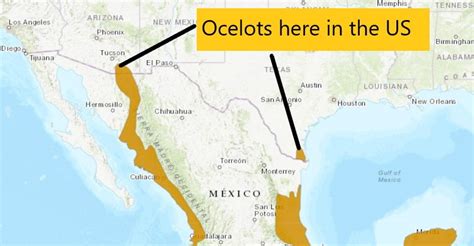 Ocelot Habitat Map