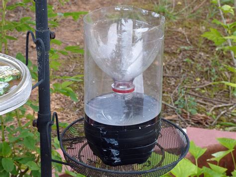 Homemade Wasp Trap Instructions - How To Make A Homemade Wasp Trap ...