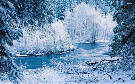 The gallery for --> Winter Forest River Wallpaper