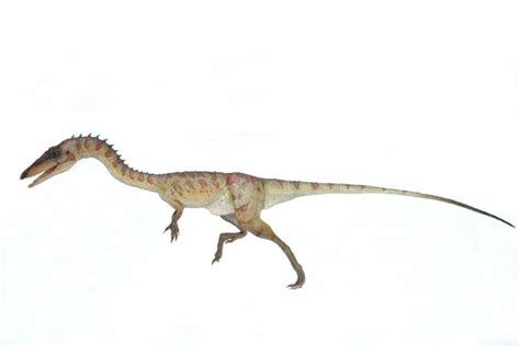 Coelophysis Pictures & Facts - The Dinosaur Database