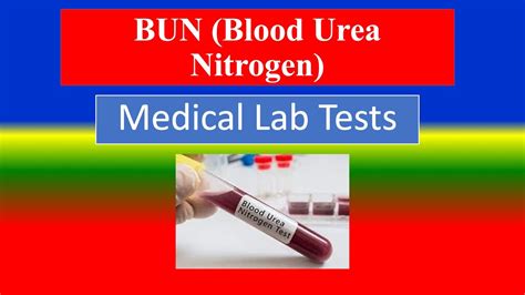 Blood Urea Nitrogen (BUN) Test And Ranges Biology, 46% OFF