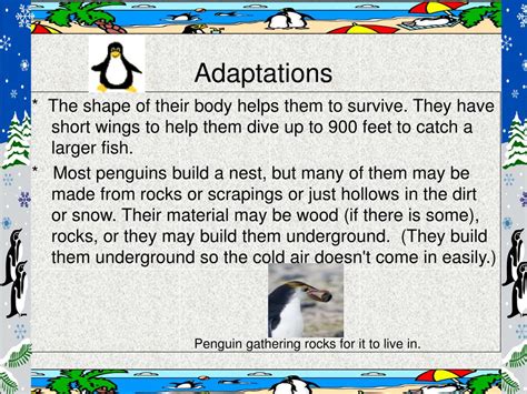 40 best ideas for coloring | Emperor Penguin Adaptations