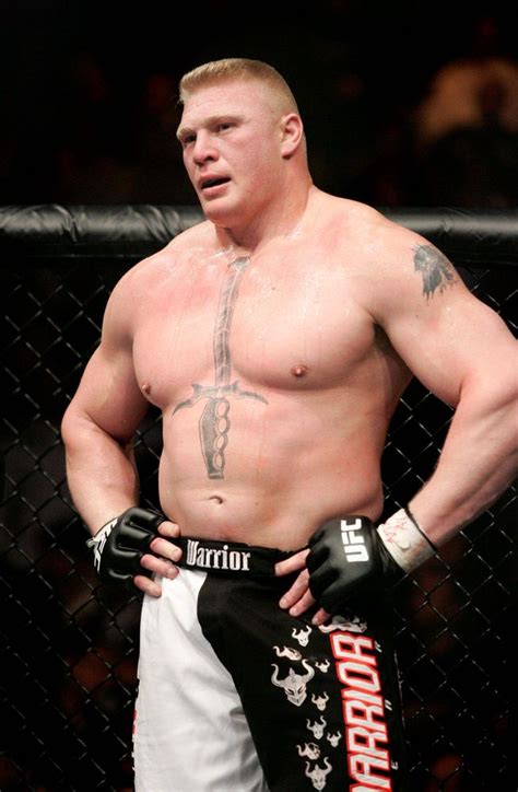 WWE WRESTLING CHAMPIONS: Brock Lesnar ufc Champion